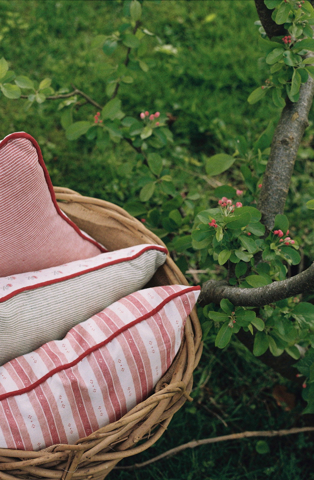 Blume Green Cushion - Square