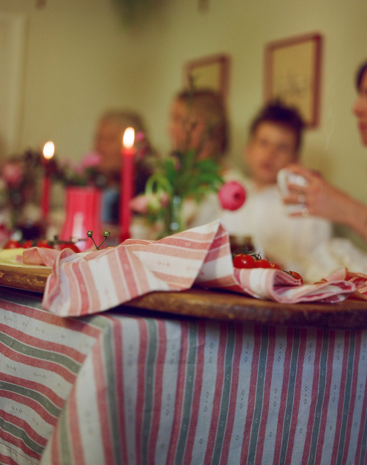 Salzburg Stripe – Green & Red